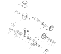 Piston & Crankshaft