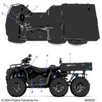 Body, Decals Graphics