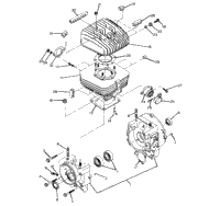 Crankcase & Cylinder Assembly