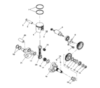 Piston & Crankshaft 2X4 350L