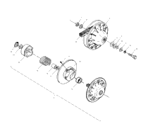 Driven Clutch