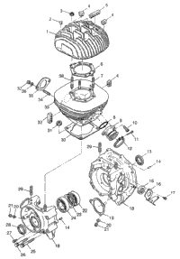Crankcase & Cylinder Xplorer 300