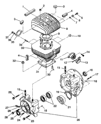 Crankcase & Cylinder Trail Blazer
