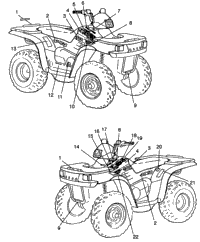 Decals Xplorer 400L