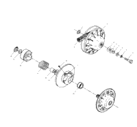 Driven Clutch