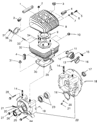 Crankcase & Cylinder Trail Boss