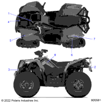 Body, Decals Graphics