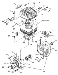 Crankcase & Cylinder Trail Boss