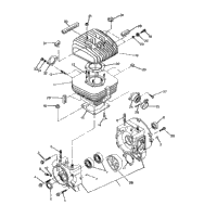 Crankcase & Cylinder Assembly Trail Blazer