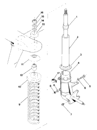 Front Strut Assembly