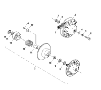 Driven Clutch