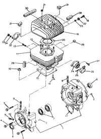 Crankcase & Cylinder Trail Boss