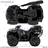 Body, Decals Graphic