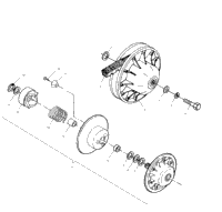 Driven Clutch