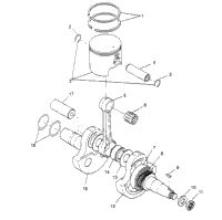 Piston & Crankshaft 6X6 300