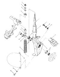 Strut Assembly