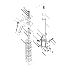 Strut Assembly 250 2X4
