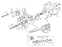 Gearcase/Brake & Chain Cover Mounting Xplorer 300
