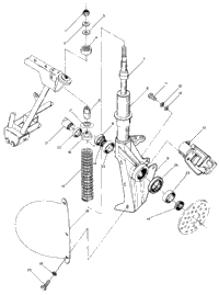Strut Assembly