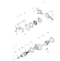 Starting Motor Assembly