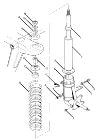 Strut Assembly