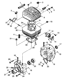 Crankcase & Cylinder Trail Boss