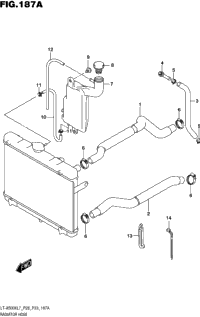 Radiator Hose