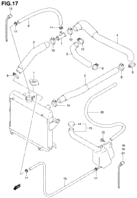 Radiator Hose