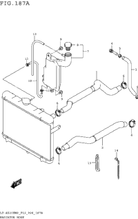 Radiator Hose