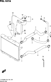 Radiator Hose
