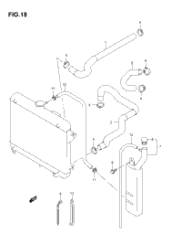 Radiator Hose