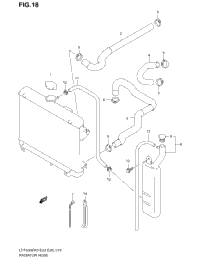 Radiator Hose