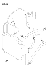 Radiator Hose
