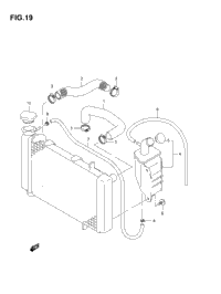 Radiator Hose