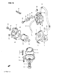 Oil Pump-Fuel Pump