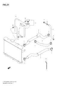 Radiator Hose
