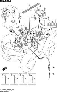 Wiring Harness (P33)