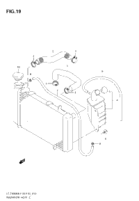 Radiator Hose