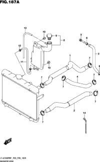 Radiator Hose
