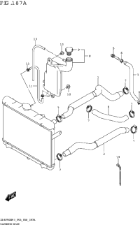 Radiator Hose