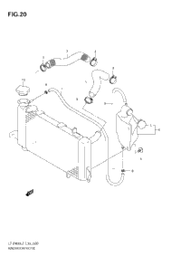 Radiator Hose