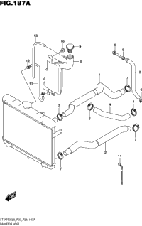 Radiator Hose