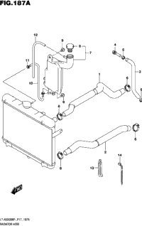Radiator Hose