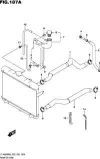 Radiator Hose