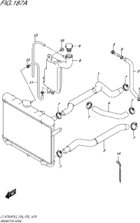 Radiator Hose