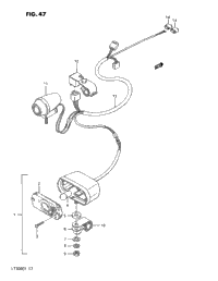 Backup Lamp (Optional)