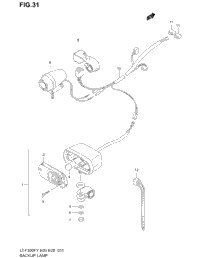 Backup Lamp (Optional)
