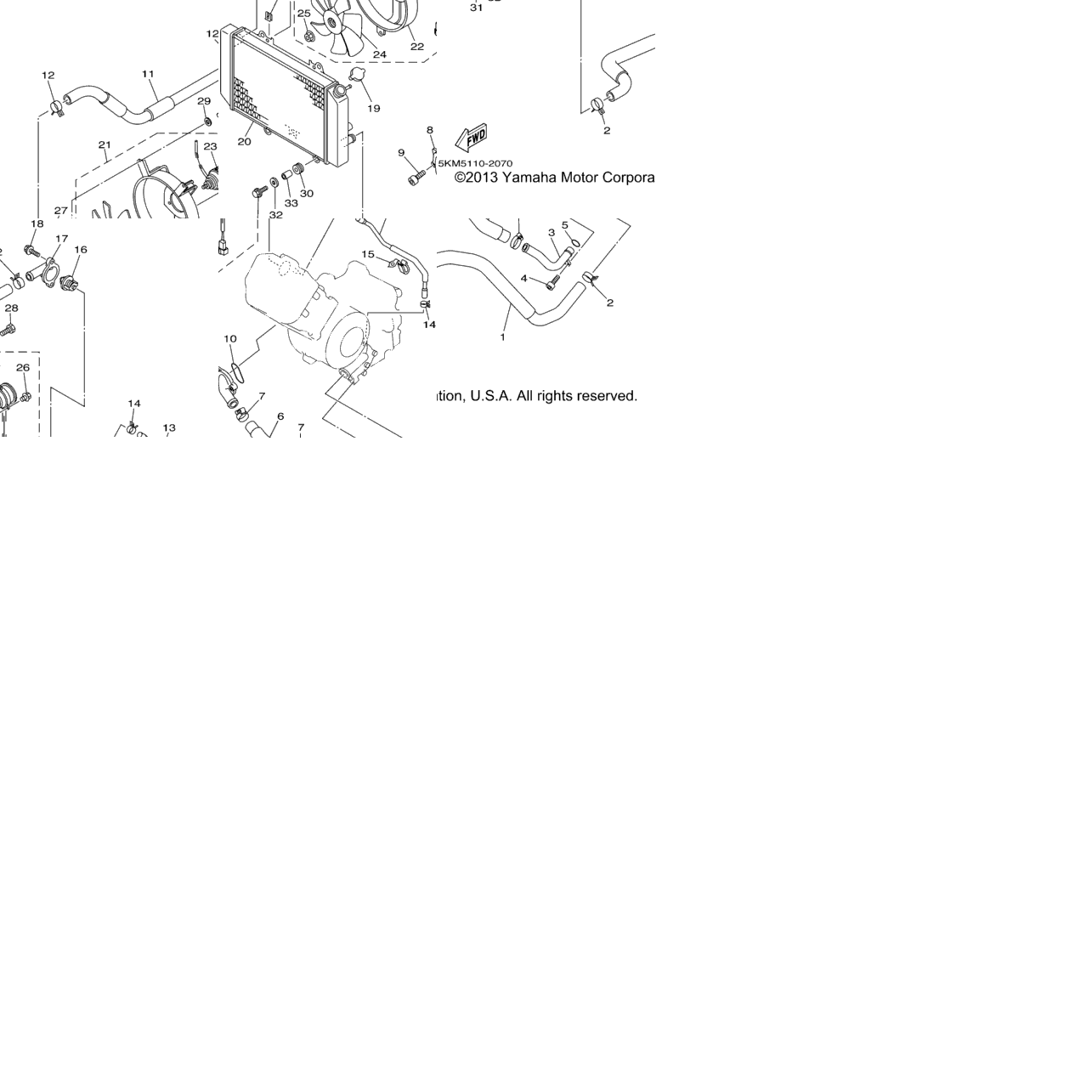 Radiator Hose