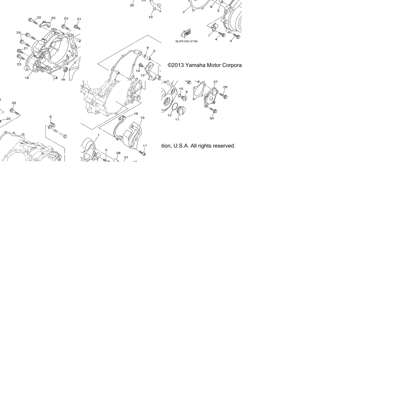 Crankcase Cover 1