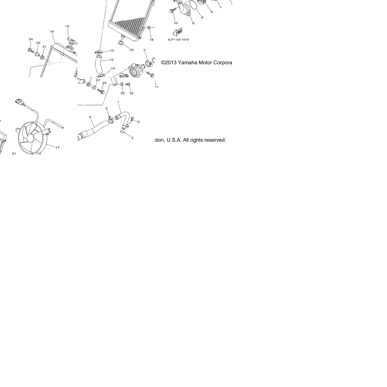 Radiator Hose